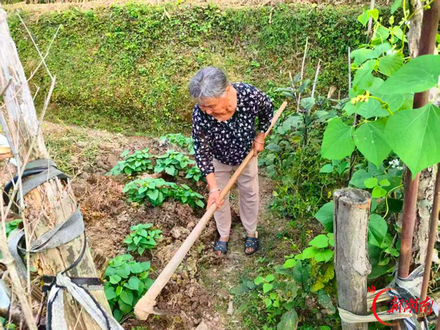 “硬骨头奶奶”撑起苦难之家——记孝老爱亲类“湖南好人”米生花