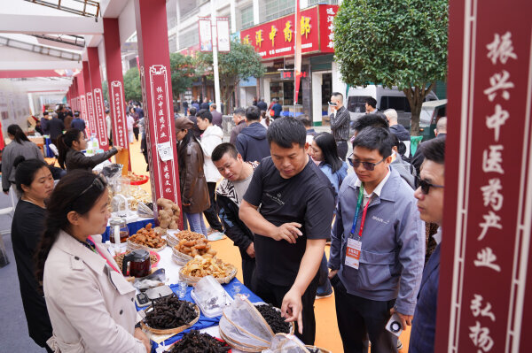 推动中医药传承创新迈向更高发展水平 —— 解读《湖南省中医药发展 “十五五” 规划》