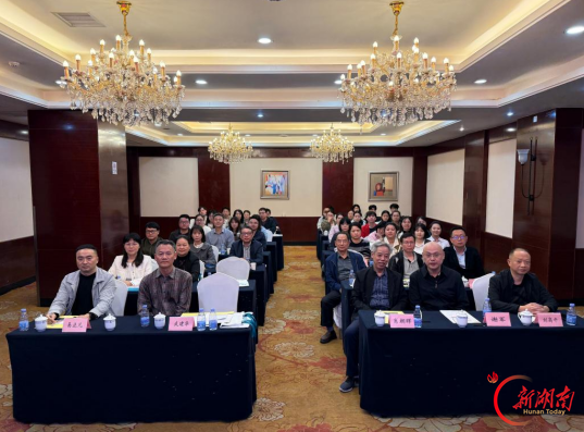 衡阳市脾胃病科中医质控中心学术会议暨许雪君名中医经验分享会召开