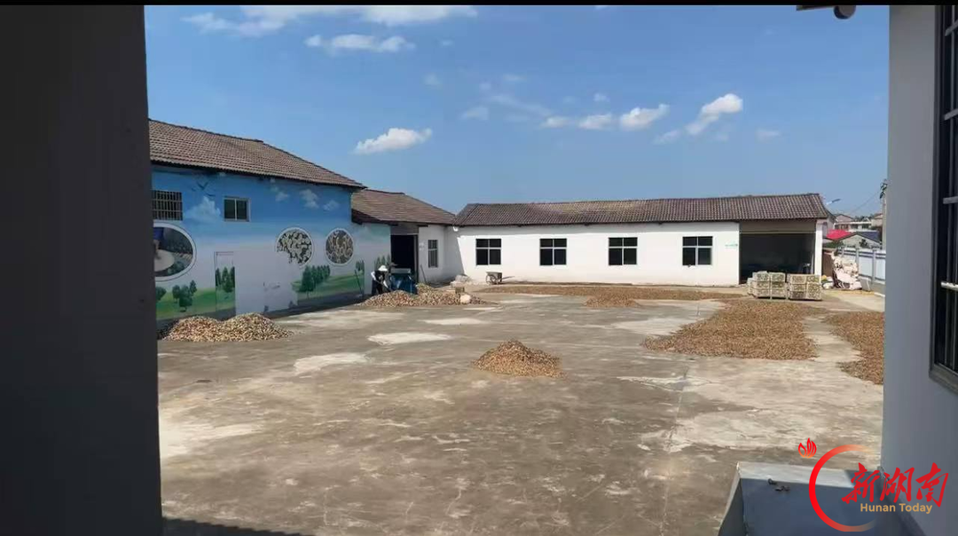 沅江税务：合规经营擦亮千年枳壳品牌