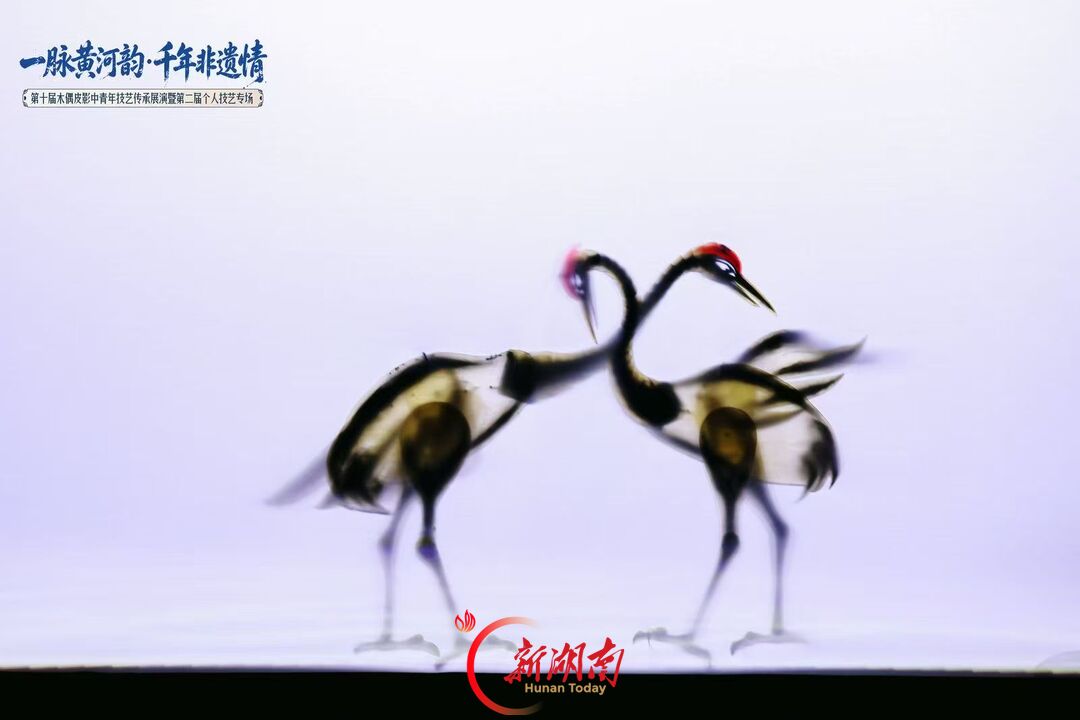 湖南5部木偶皮影剧目斩获全国行业大奖
