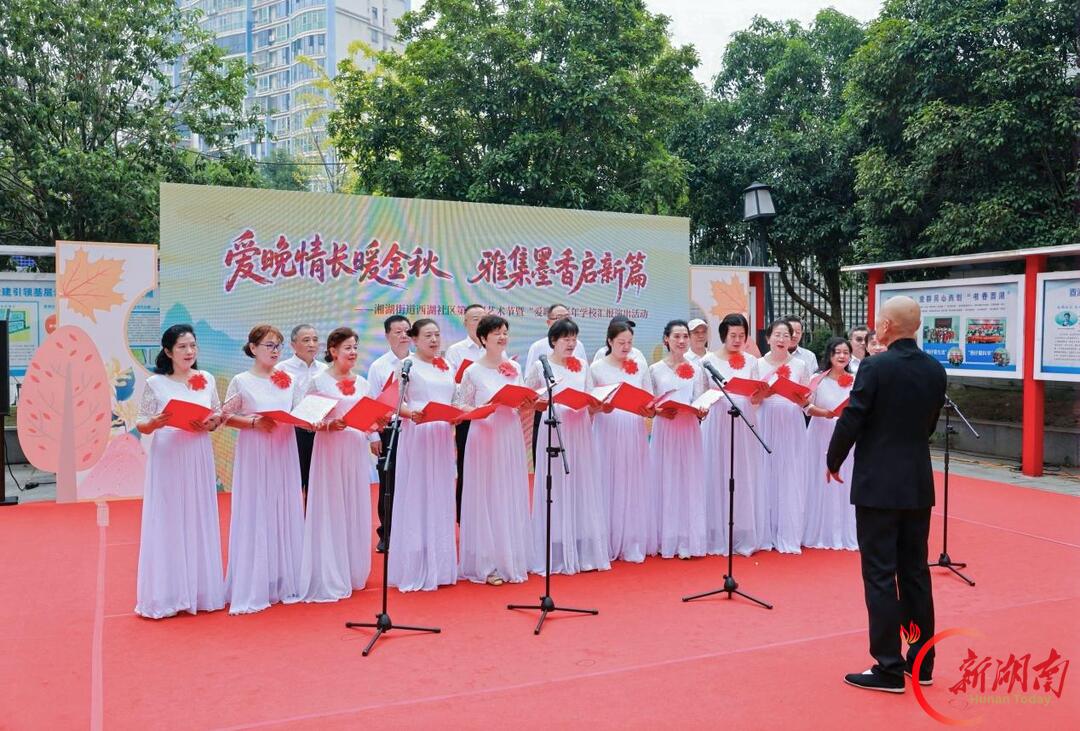 爱晚情长暖金秋 雅集墨香启新篇——西湖社区第二届艺术节暨“爱晚”老年学校汇报演出圆满举办