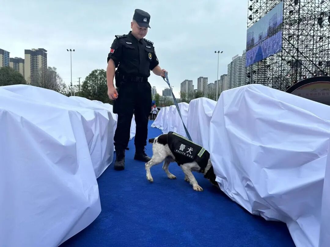 寻找“最美基层民警”⑥|曹建国：携犬砺剑守平安 初心如磐践使命
