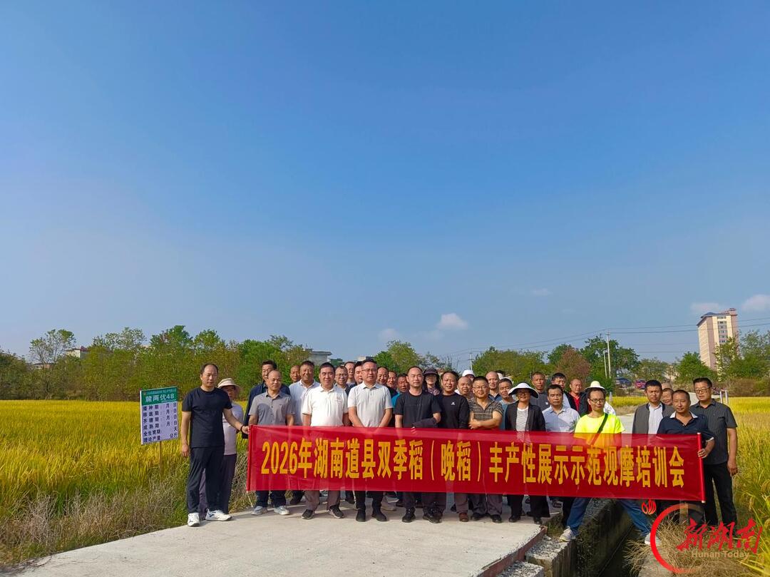 道县成功举办2026年双季稻(晚稻)丰产性展示示范基地观摩培训会