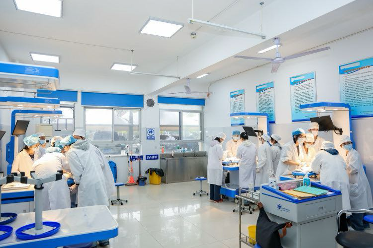 从“齿”出发 向“新”而行——湖南中医药大学口腔医学专业廿五载育人观察