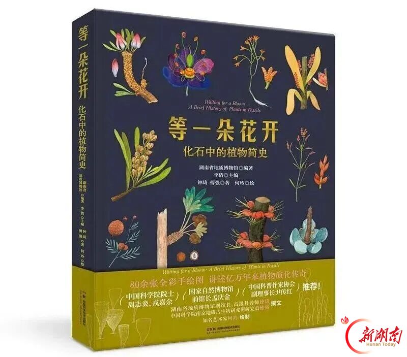 《古代船舶》等4种湘版好书入选2026年全国优秀科普图书作品名单