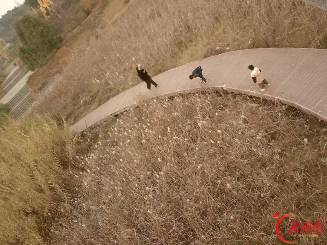秋色征集令丨碧泉湖暮秋偶记