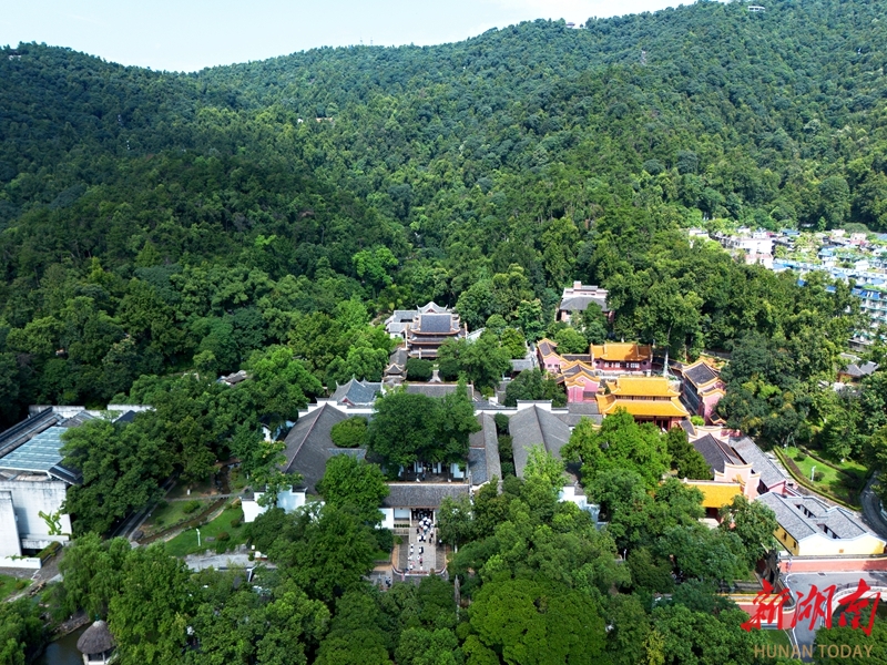 八境契天 明辨证仁
