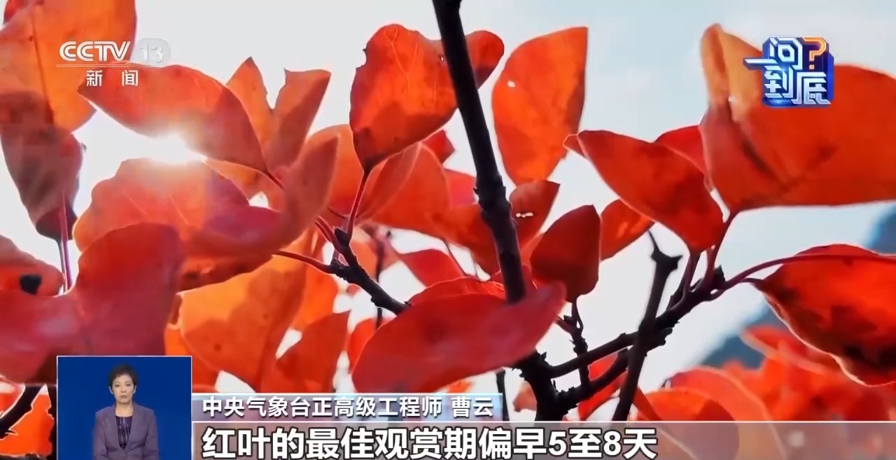 同样是秋天 南北红叶🍁🍁🍁进度为何不一样?