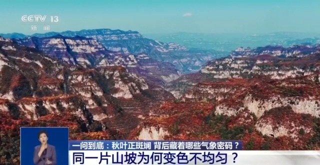 同样是秋天 南北红叶🍁🍁🍁进度为何不一样?
