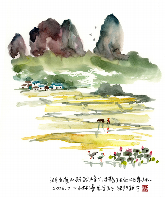 你听说了吗?邵阳美到上海去了!