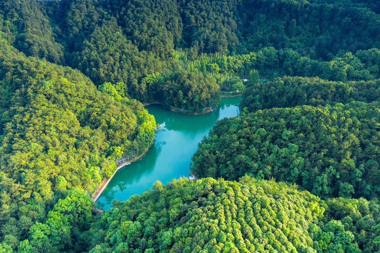 重庆北碚：“以前是靠山吃山，现在大家共享青山”
