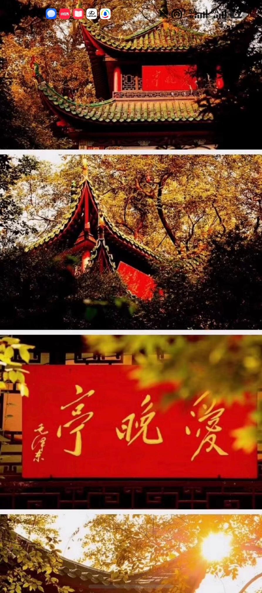 岳麓山跻身全国赏枫榜第四,长沙的秋色正压轴上线