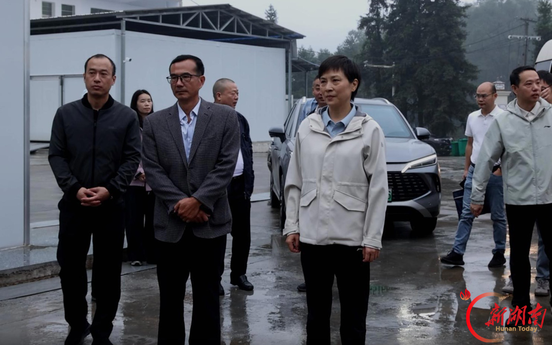 桃江县｜省地质院抛出“橄榄枝”，院地协作推进乡村振兴