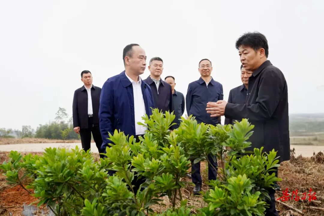 唐浩然赴湘阴县调研乡村振兴工作