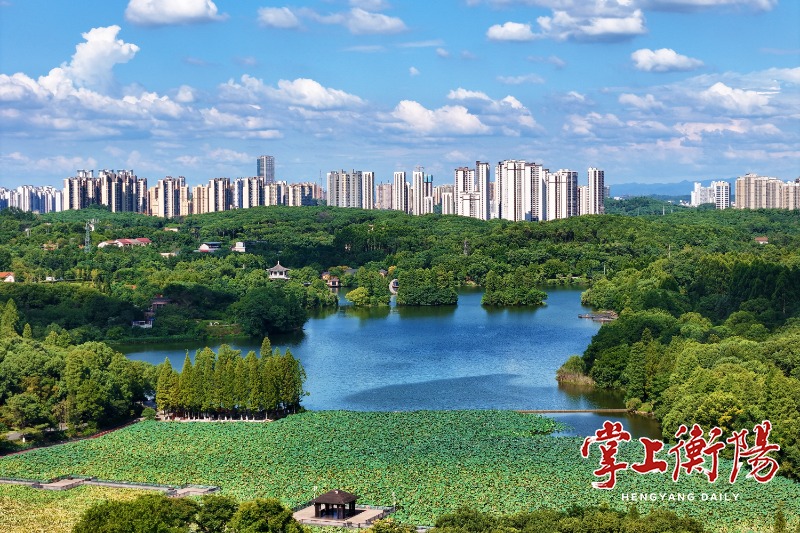 不止签约，全球湘商大会助推衡阳“内外进阶”丨“湘”筑高地 “商”启新篇