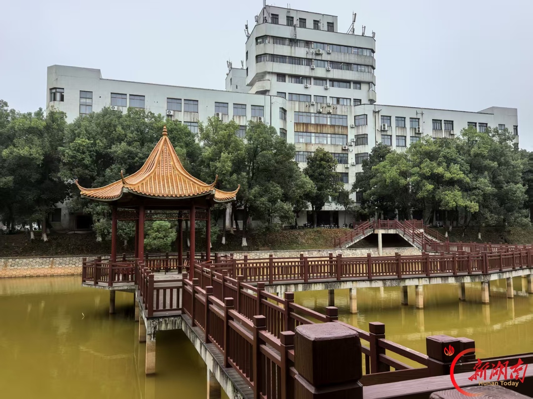 湖科大秋景:日光穿过疏叶,照亮一格格窗棂