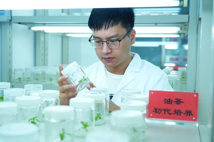 “科创湖南”的六个切面