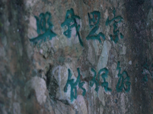 跟着从文游湘西·第十五期丨听涛回音