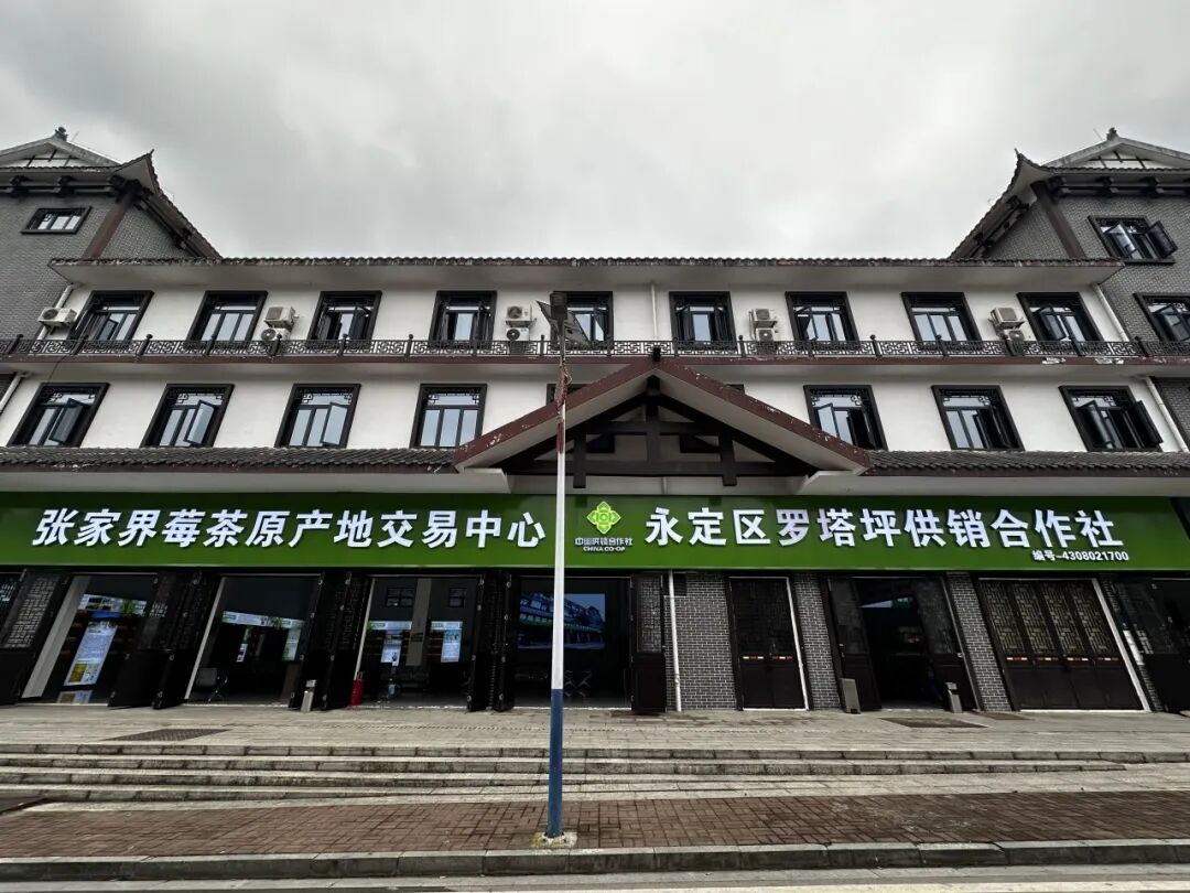 “购物远、卖货难”怎么破?全国供销宣传骨干到永定区找答案