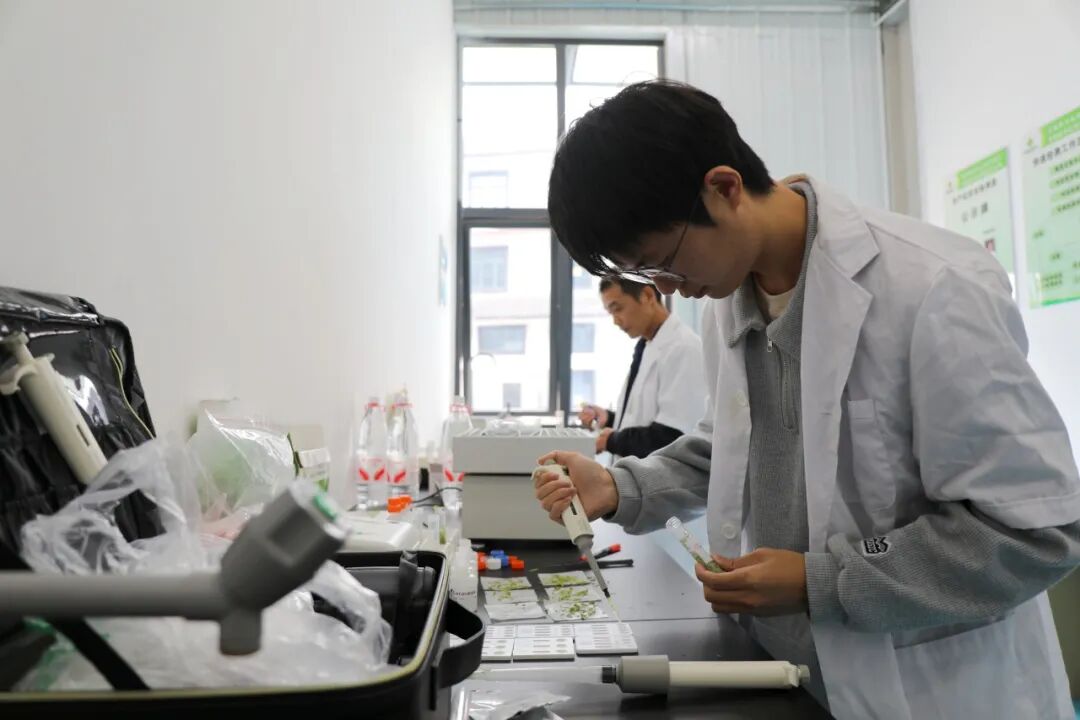 “购物远、卖货难”怎么破?全国供销宣传骨干到永定区找答案