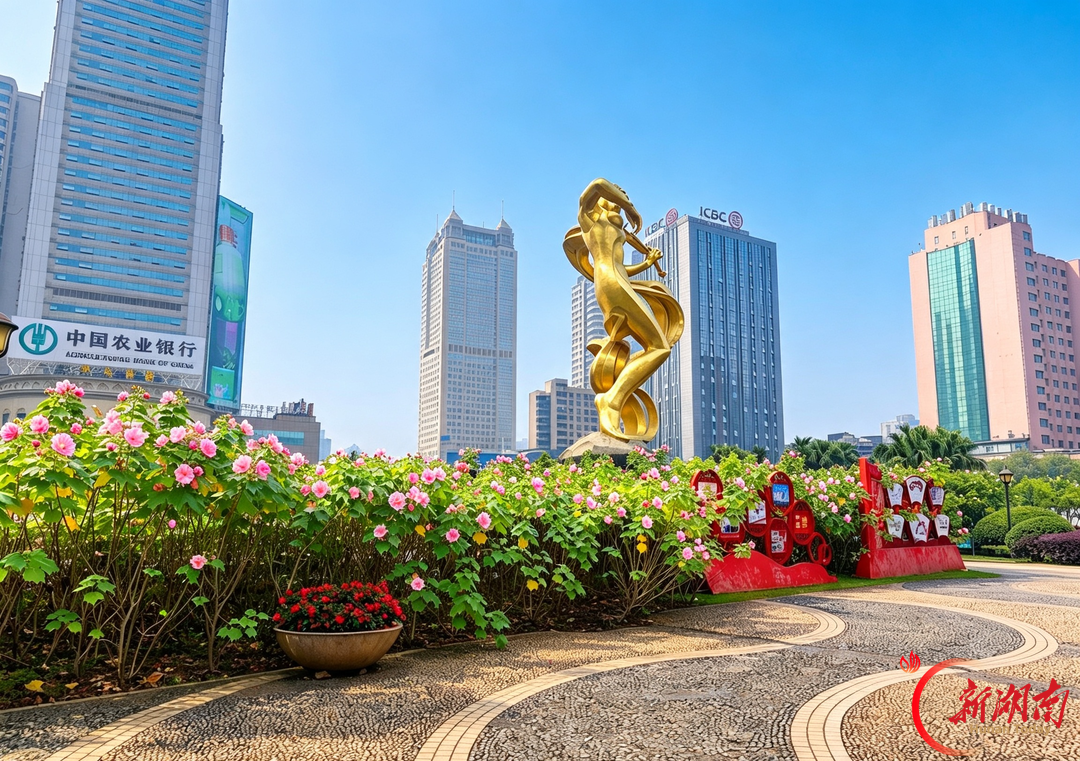 秋风万里芙蓉国，满城繁花映星城——长沙木芙蓉进入盛花期