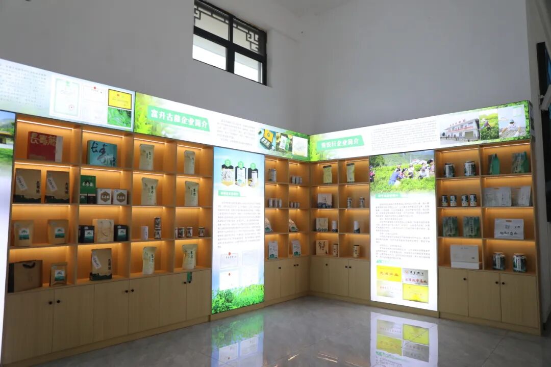 “购物远、卖货难”怎么破?全国供销宣传骨干到永定区找答案