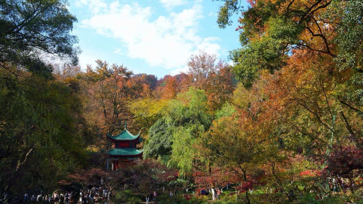 岳麓山跻身全国赏枫榜第四,长沙的秋色正压轴上线