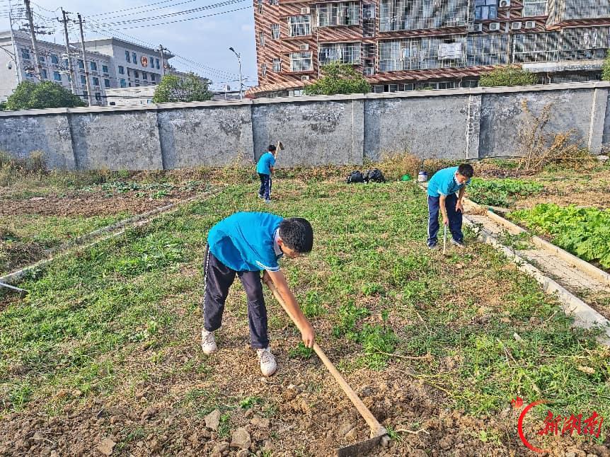 背靠乡土育桃李 面向星辰启未来 邵阳县石齐学校二十一年深耕,办家乡人民满意的学校