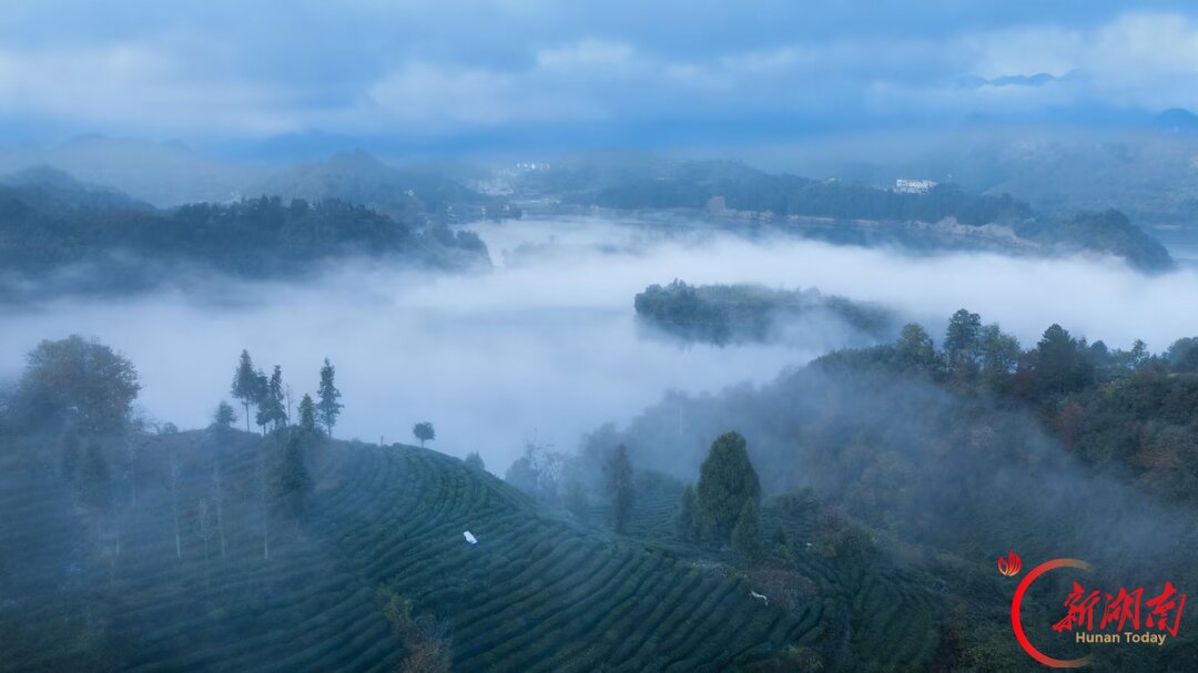 诗歌 |向卫华:在秋天的日子里