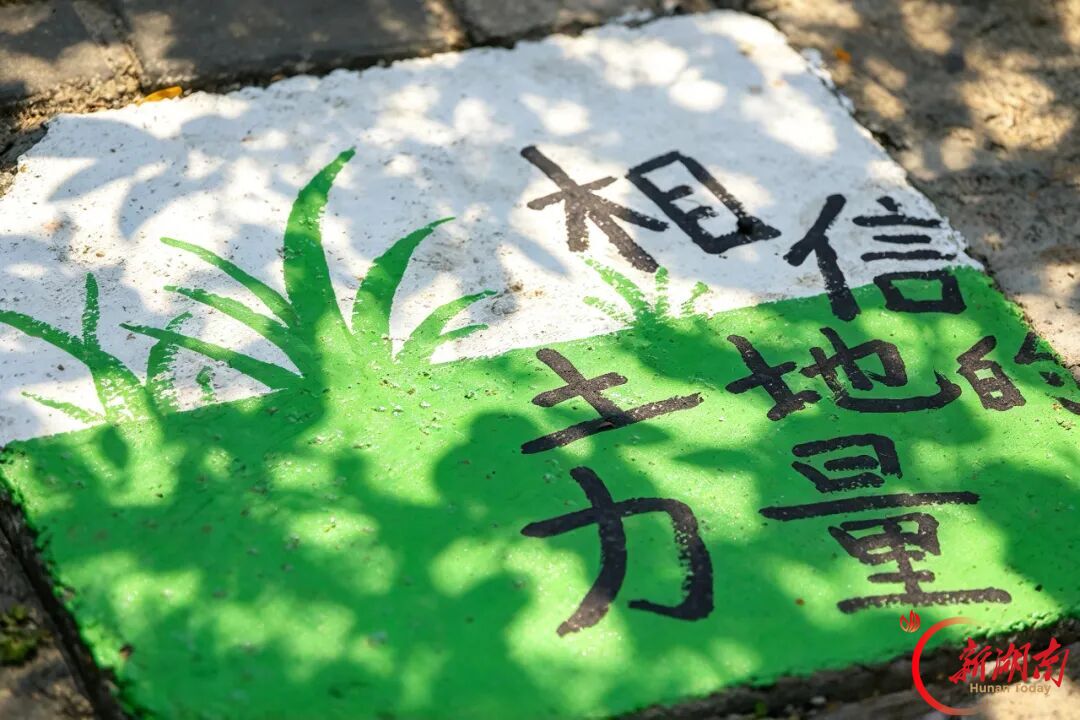 一街夜市,半城烟火!在新科街,热辣与温柔都能遇见