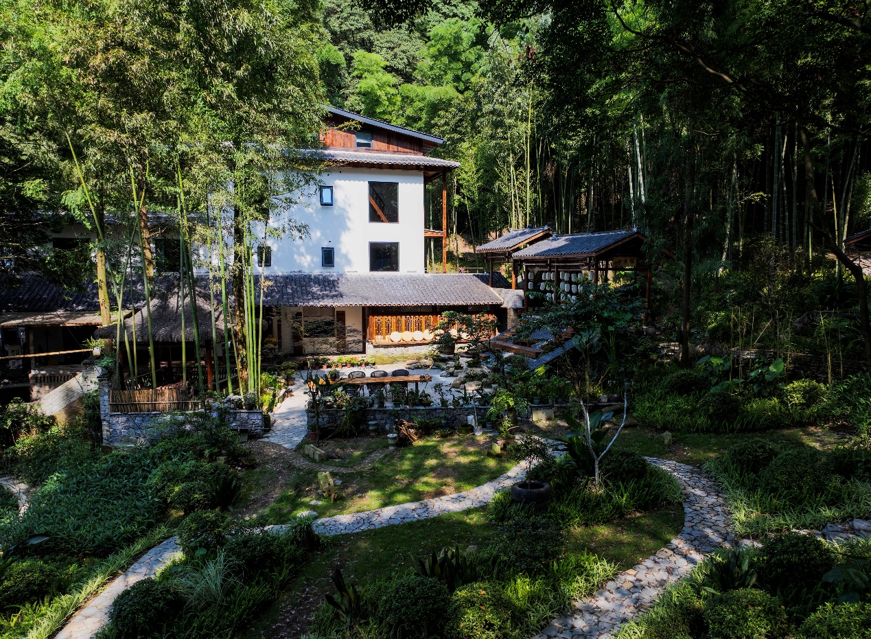 重庆北碚：“以前是靠山吃山，现在大家共享青山”