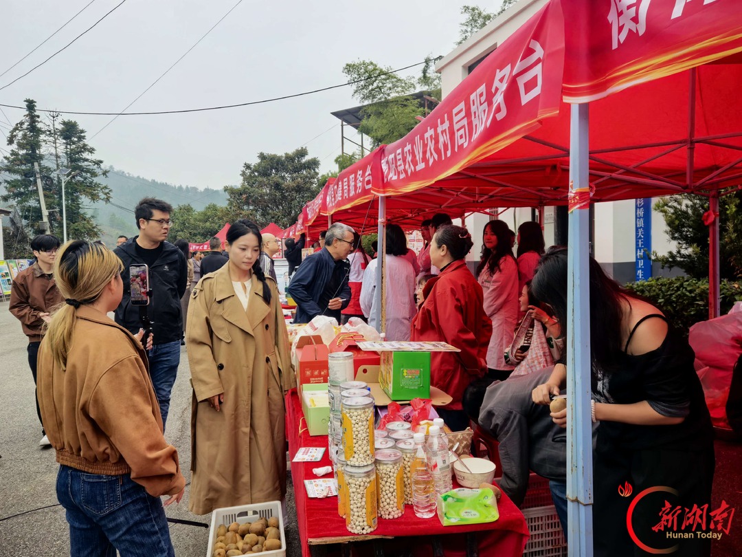 文化种子乡村生根,科技果实农民致富 2026年衡阳市文化科技卫生“三下乡”集中示范活动举行
