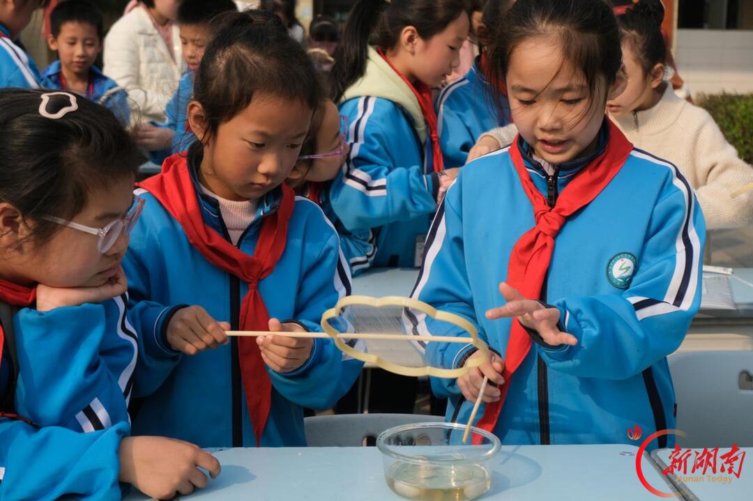 五育花开满珠晖——衡阳市珠晖区以五育并举推动基础教育上台阶观察丨湖南日报要闻