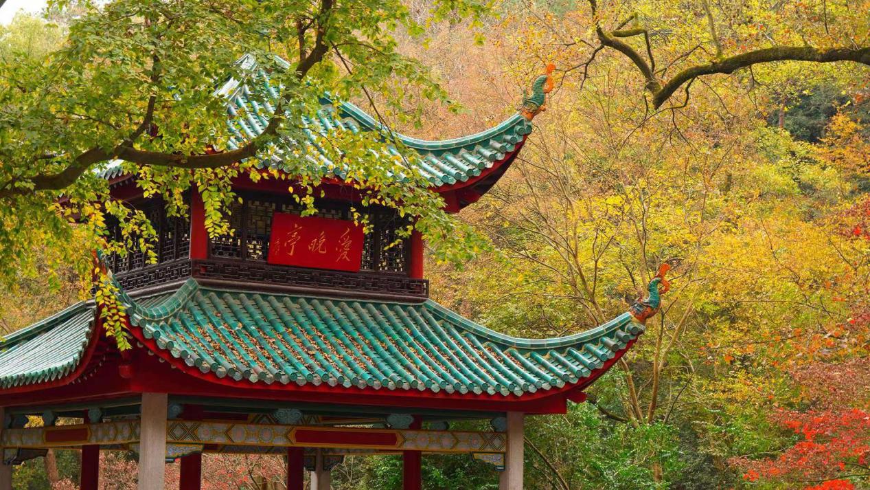 岳麓山跻身全国赏枫榜第四,长沙的秋色正压轴上线