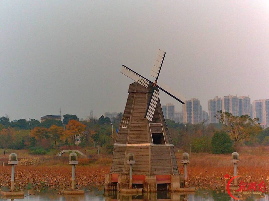 秋色征集令丨碧泉湖暮秋偶记