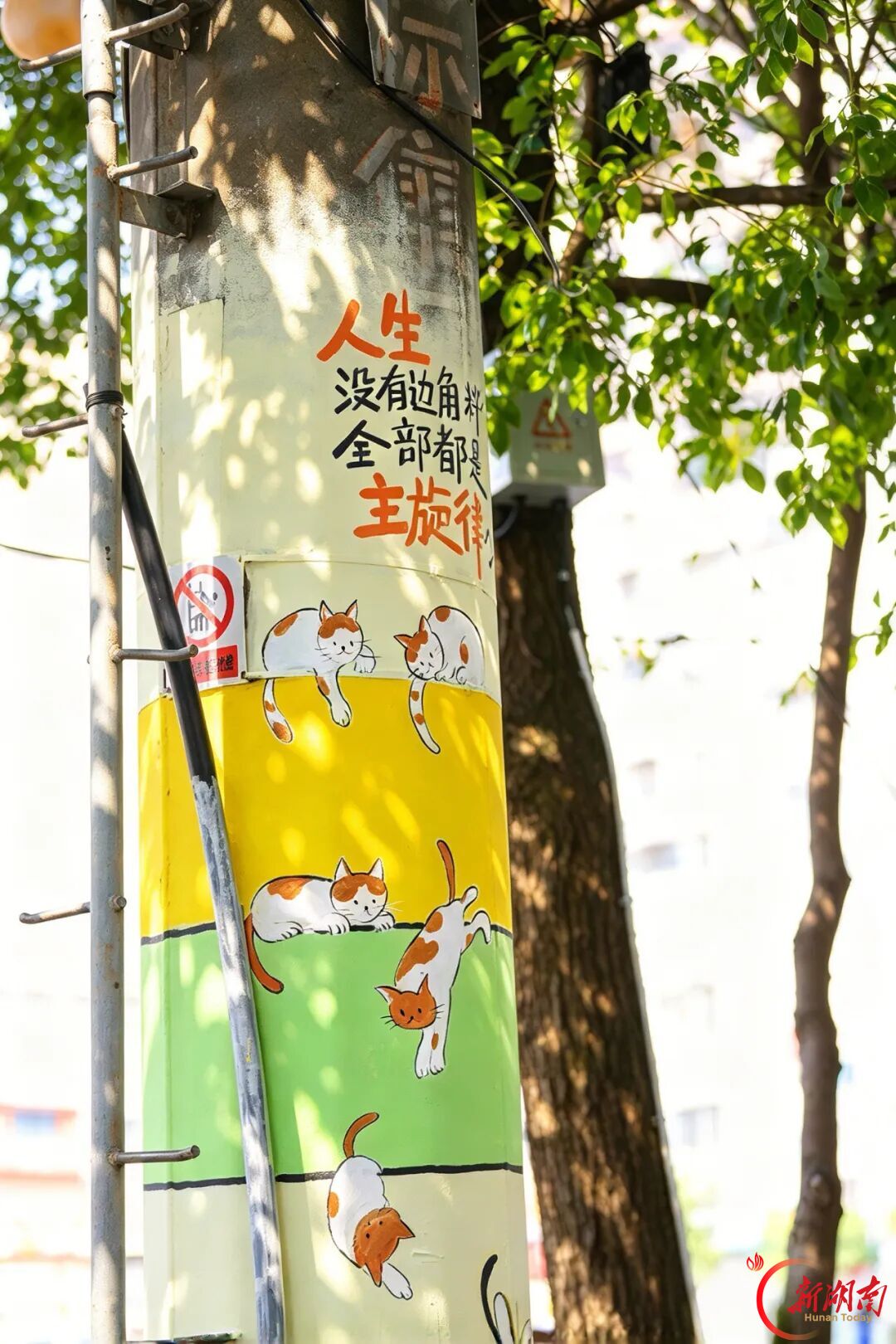 一街夜市,半城烟火!在新科街,热辣与温柔都能遇见