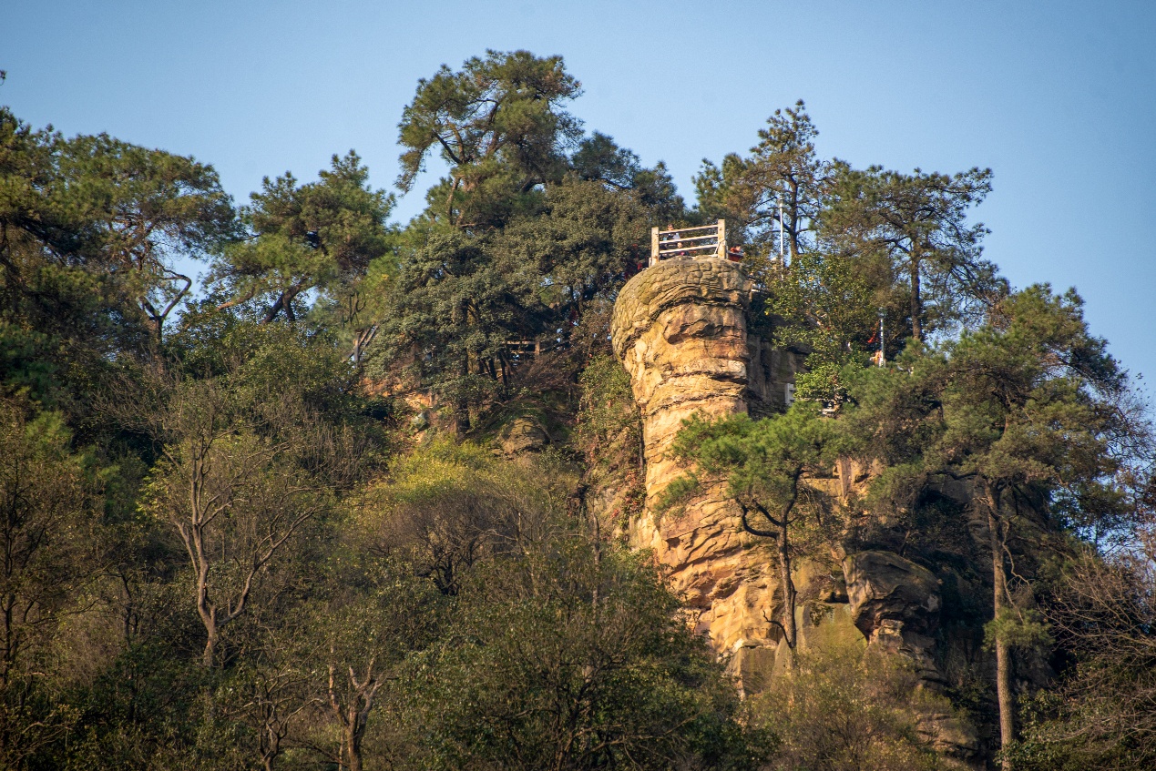 重庆北碚：“以前是靠山吃山，现在大家共享青山”