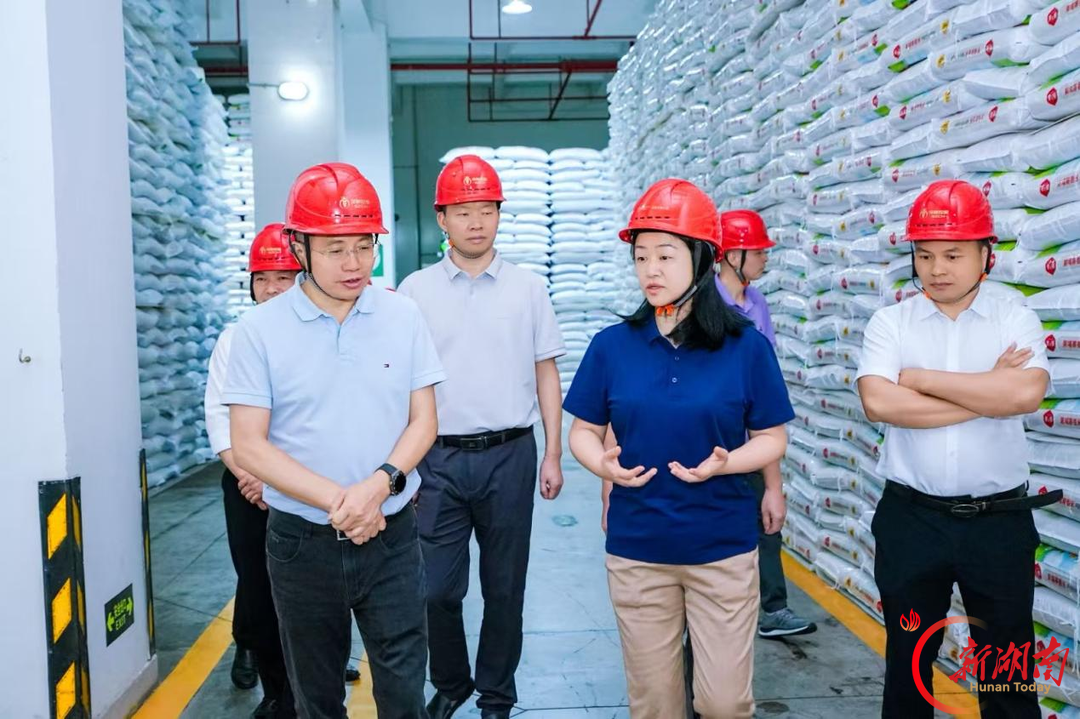 2026年“湘粮中国行・深圳站”产销对接活动顺利举办