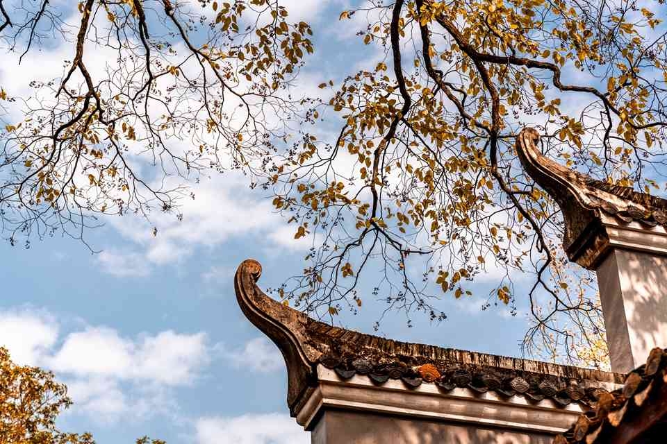 八境契天 明辨证仁