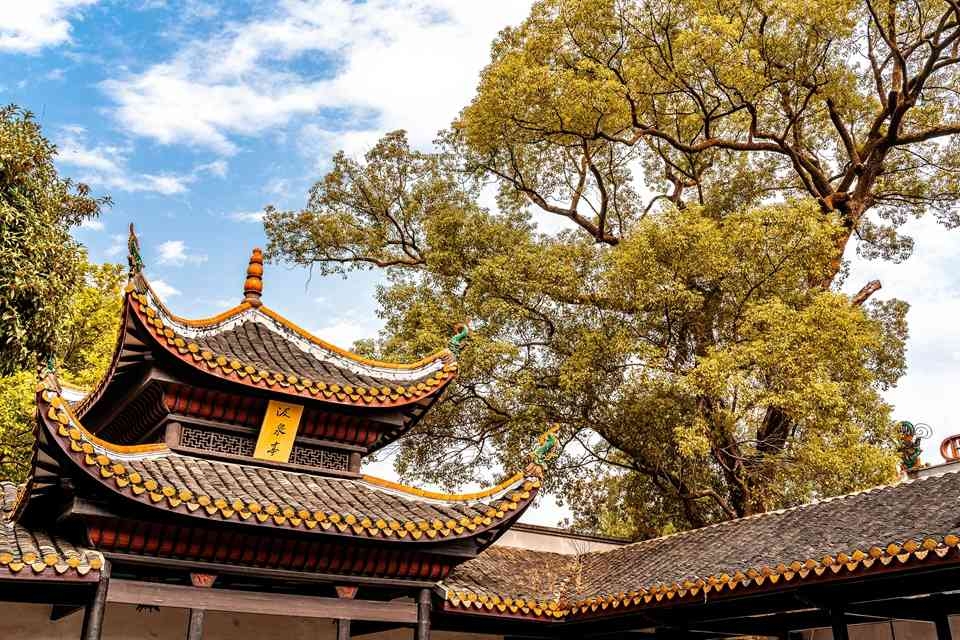 八境契天 明辨证仁