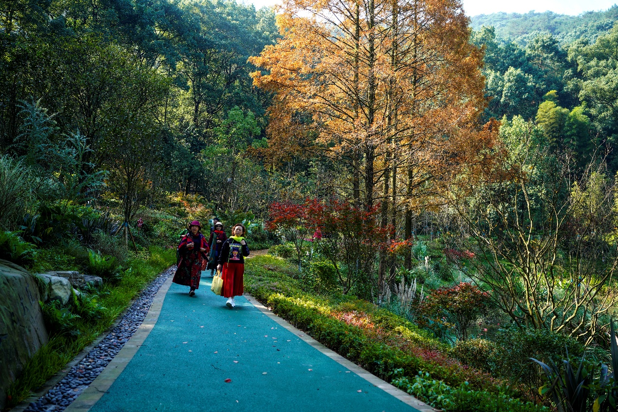 重庆北碚：“以前是靠山吃山，现在大家共享青山”