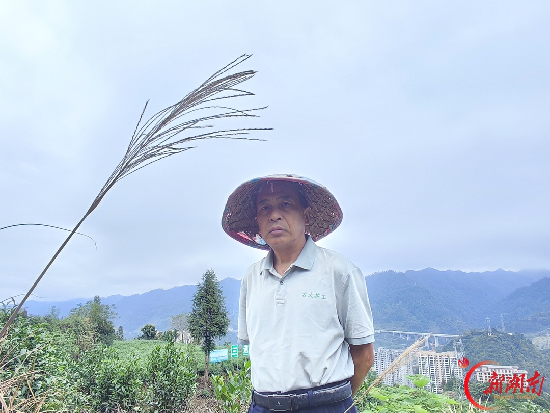 诗歌 |向卫华:在秋天的日子里