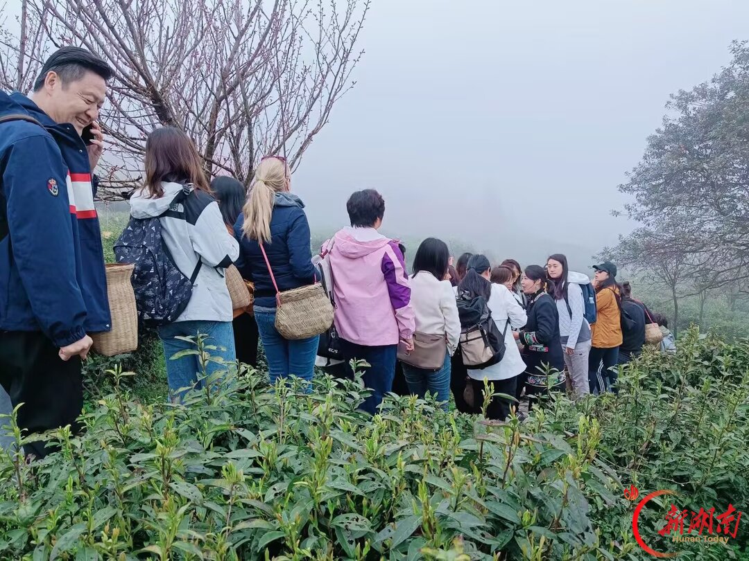 诗歌 |向卫华:在秋天的日子里