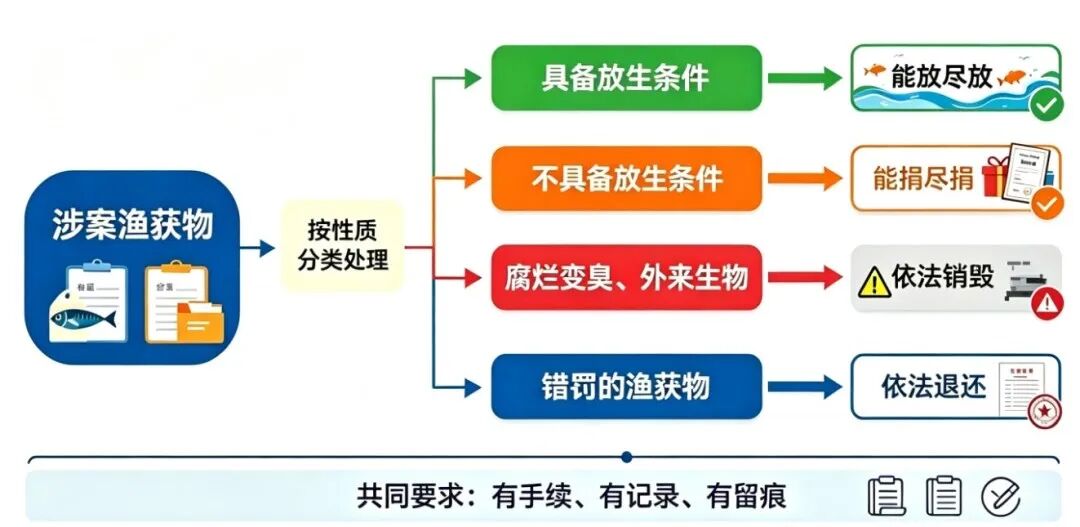渔政没收的鱼,都去哪儿了?