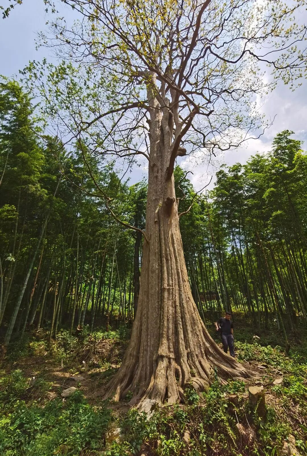 湖南真美·一周精选 ㉝丨河湖的秋,美了