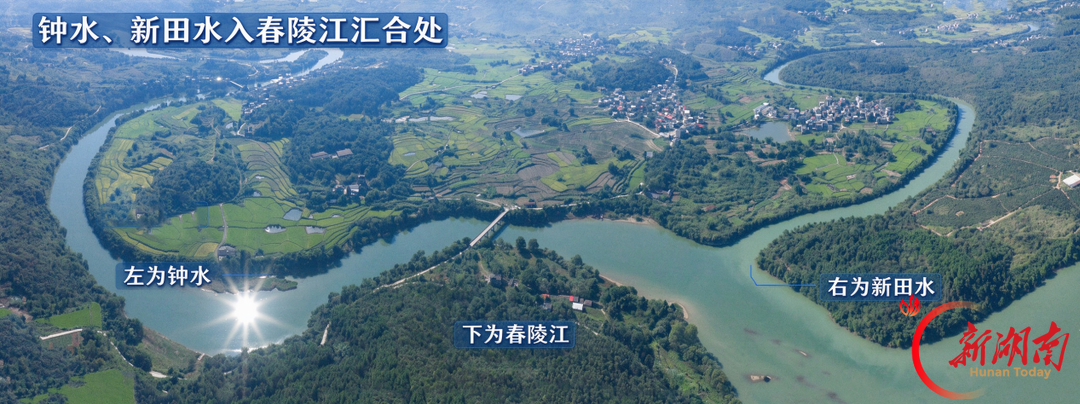 谈古论今丨舜水考
