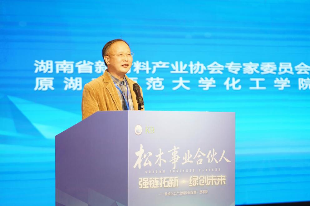 “南盐化”的硬核突围与广阔蓝海——专家视角看衡阳盐卤化工产业转型前景