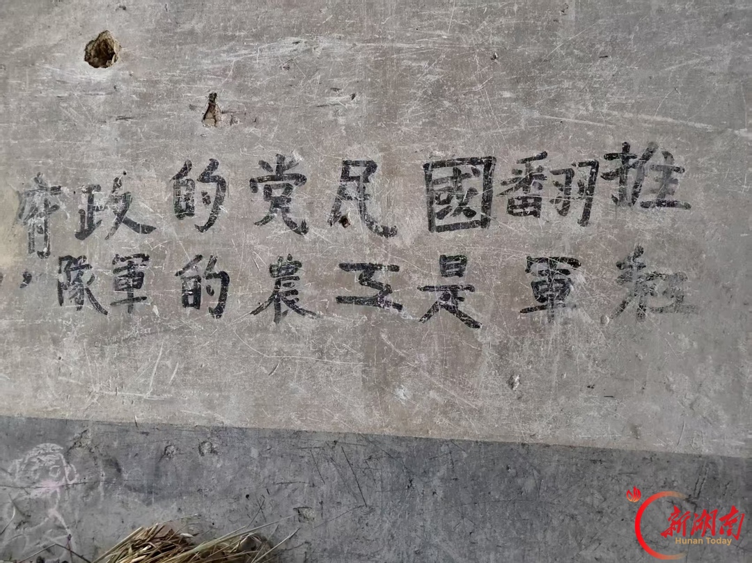 美文 | 再次踏上水市这片土地