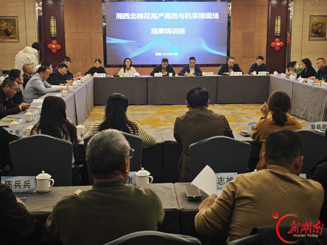 2026年湘西北片区棉花技术现场验收完美收官